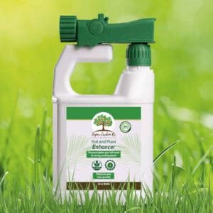 Soil and Plant Enhancer - All Natural Lawn Treatment and brown patch remover