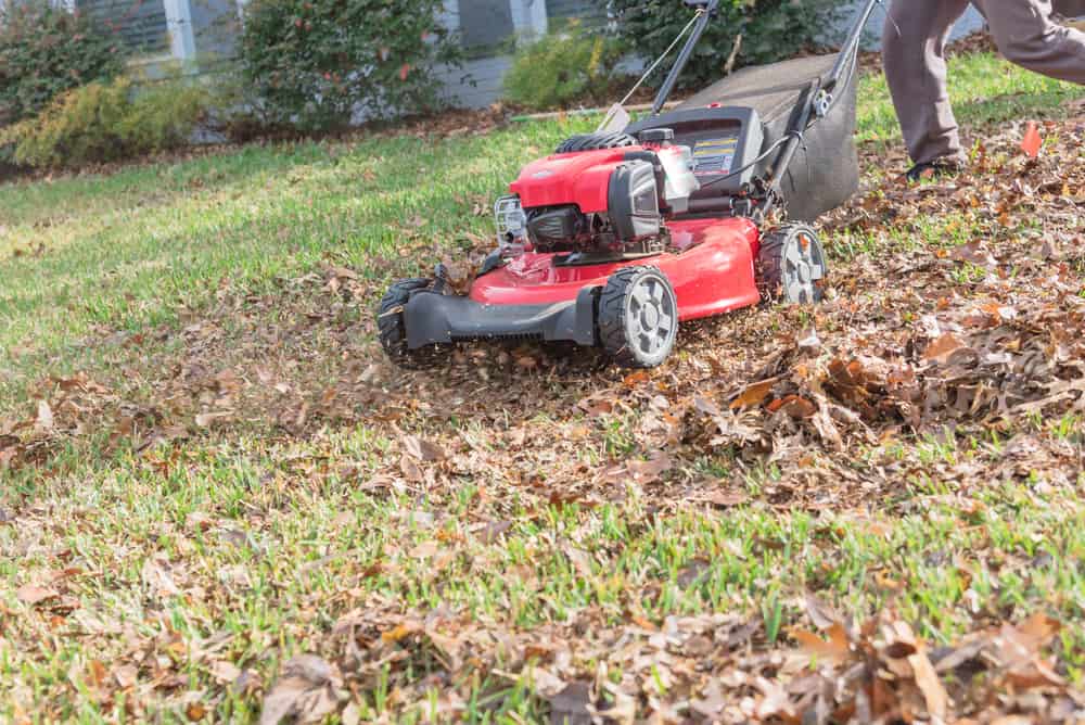 mulching leaves with gas mower